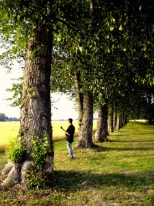 bos (Small)